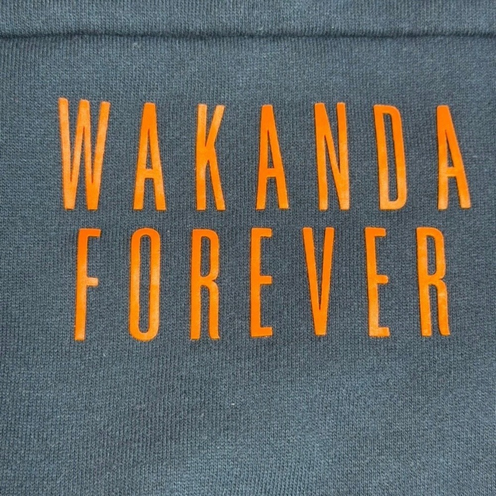 Marvel Black Panther Wakanda Forever Hoodie Disney Parks Black Small S - Picture 8 of 10